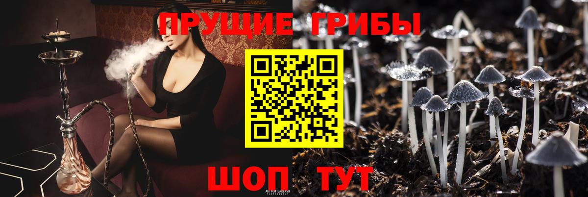 Псилоцибиновые грибы Psilocybe  Вход с VPN  Похвистнево  Псилоцибиновые грибы MAGIC MUSHROOMS 